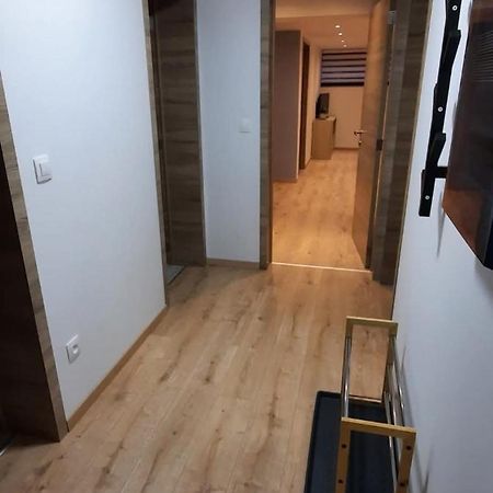 Appartement Le Cocon Des Pres à Saint-Hubert Extérieur photo